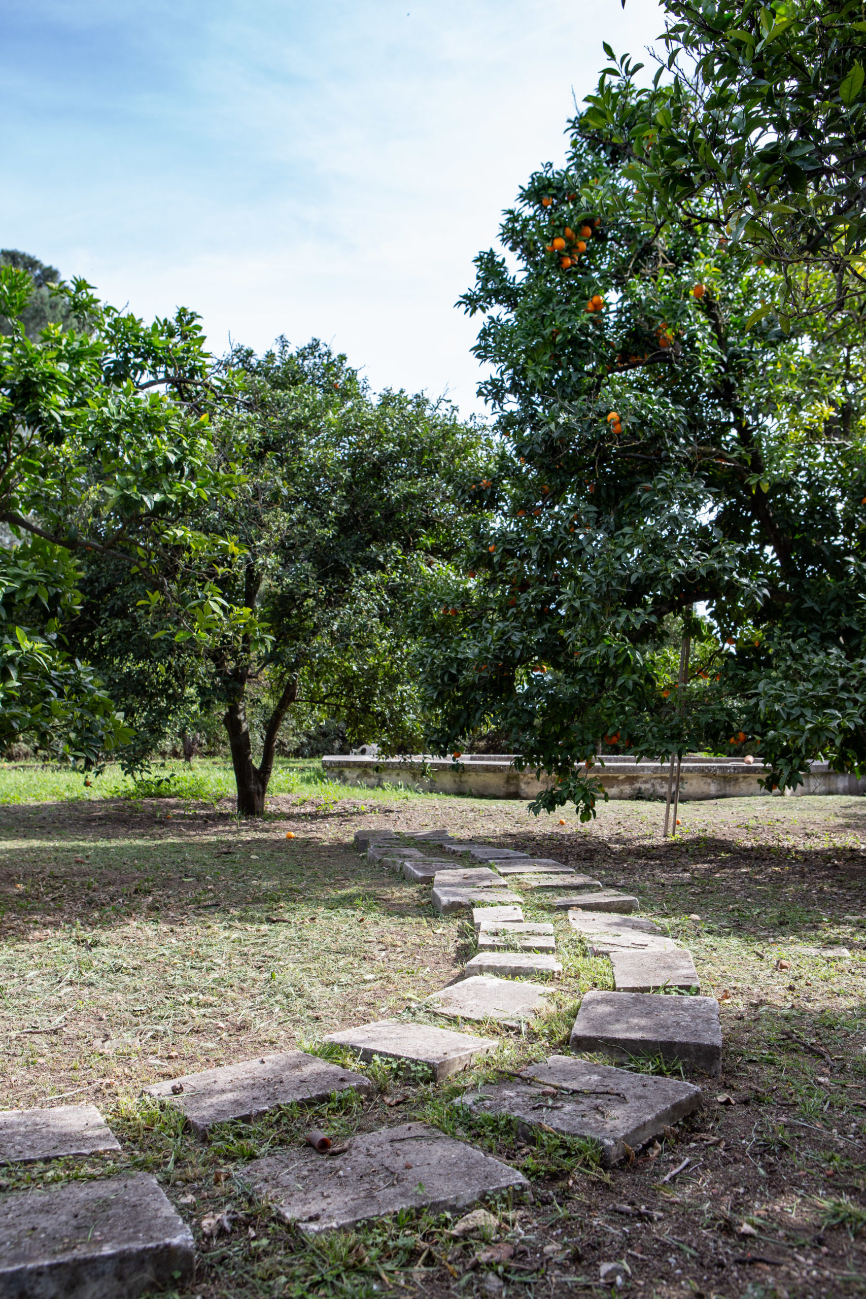 Jardim - Palácio Ficalho